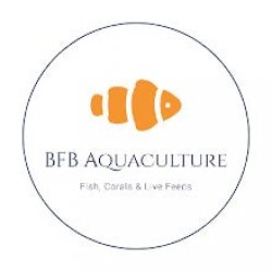 BFB Aquaculture